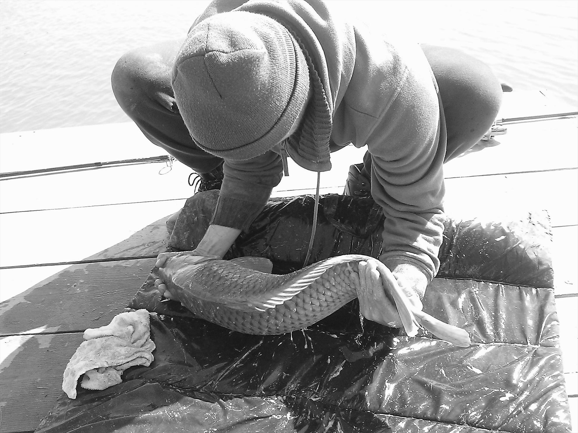 Fa-i poza daca poti... - wp2013032303811.jpg